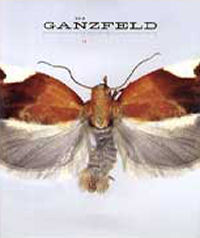 THE GANZFELD 03