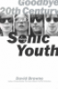 GOODBYE 20TH CENTURY - A BIOGRAPHY OF SONIC YOUTH