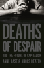 DEATHS OF DESPAIR AND THE FUTURE OF CAPITALISM