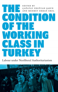 THE CONDITION OF THE WORKING CLASS IN TURKEY