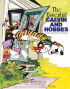 CALVIN AND HOBBES TREASURY 01 (SC) - THE ESSENTIAL CALVIN AND HOBBES