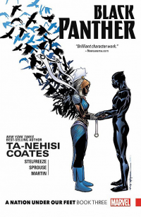 BLACK PANTHER 03 - A NATION UNDER OUR FEET 3