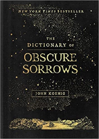 THE DICTIONARY OF OBSCURE SORROWS