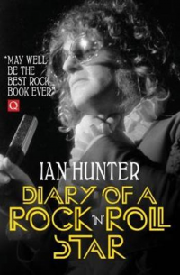 DIARY OF A ROCK 