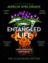 ENTANGLED LIFE - ILLUSTRATED EDITION