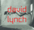 DAVID LYNCH - DARK SPLENDOR