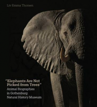 ELEPHANTS ARE NOT PICKED FROM TREES